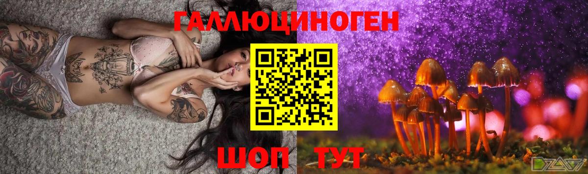Псилоцибиновые грибы мицелий  Вход с VPN  Улан-Удэ 